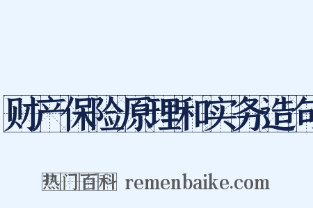 财产保险原理和实务造句是什么意思的图片